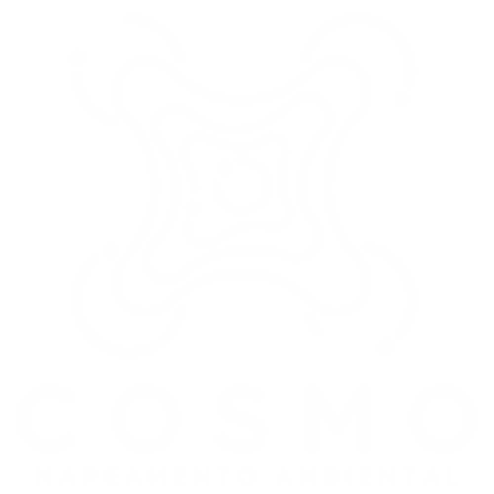 Logo da Cosmo Mapeamento