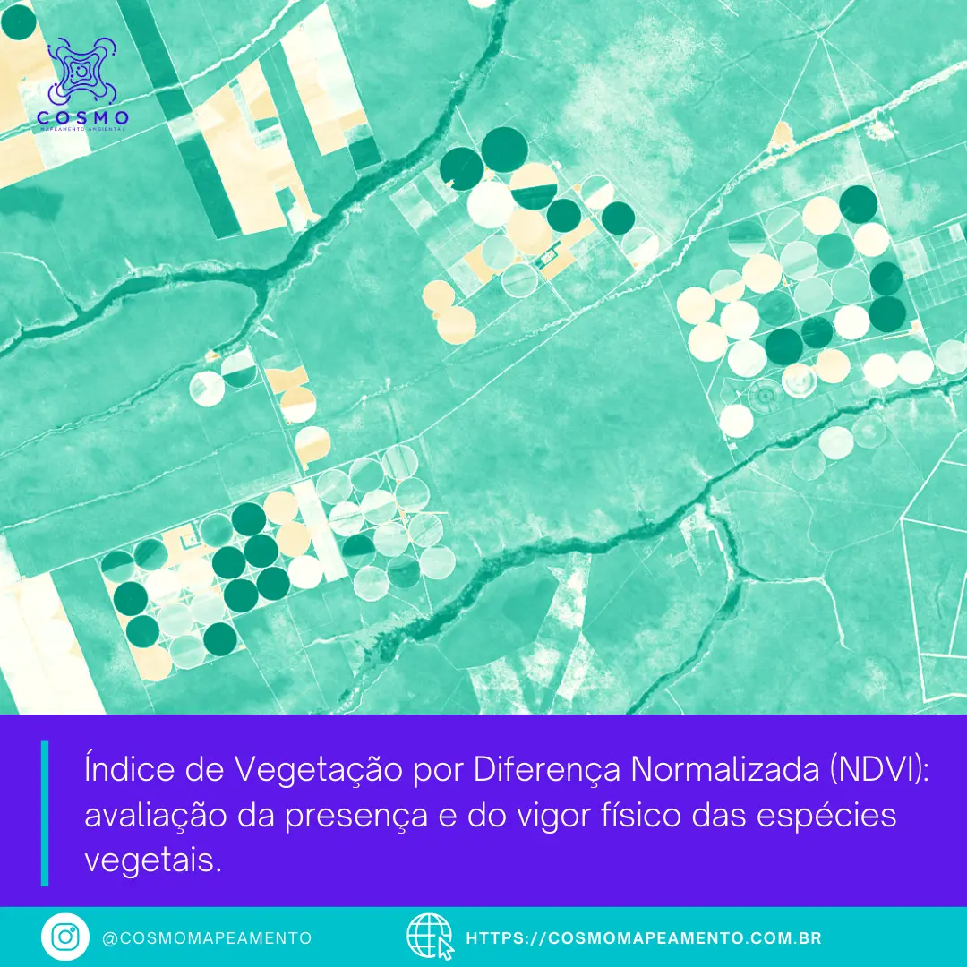 Post 11 - NDVI